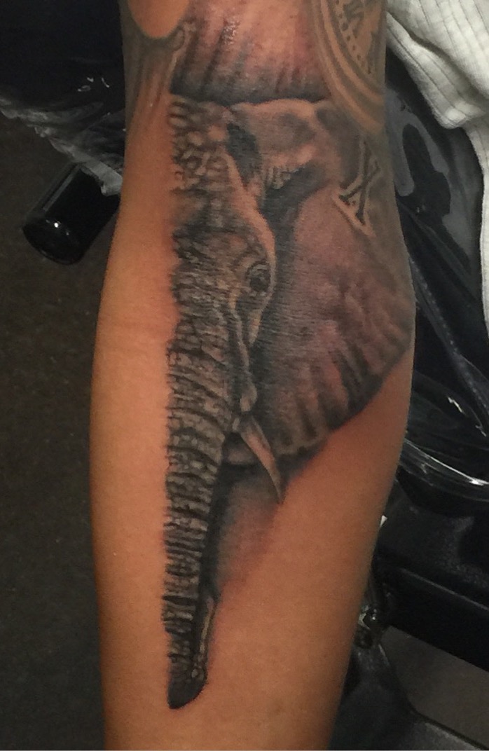 realistic elephant tattoo, elephants, girls with tattoos, Johnny calico, tattoo artist Michigan