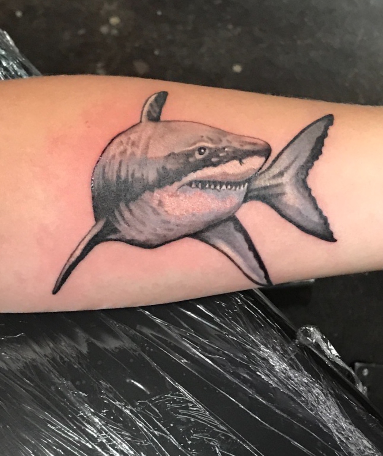 realistic tattoo, realistic shark tattoo, shark tattoo, great white, great white shark, Johnny calico, Michigan tattoo artist, tattoo artist